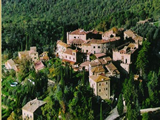 Bucine